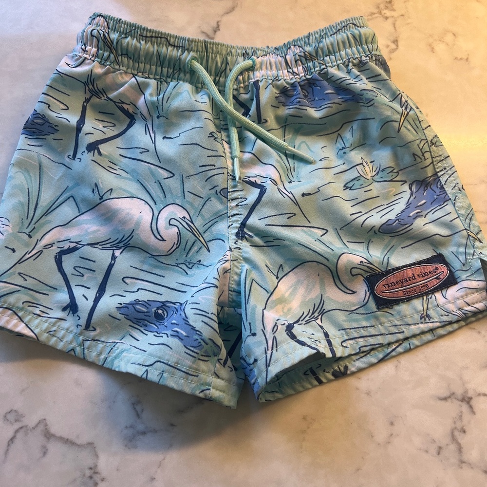 Vineyard Vine Swim Trunk